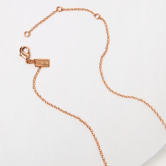 Coach Tea Rose Earrings and Open Circle Necklace - Picture 4 of 8